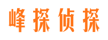 绿园市侦探公司